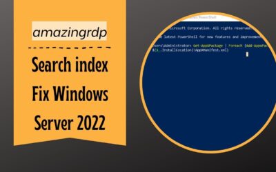 Search index Fix Windows Server 2022