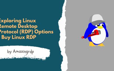 Exploring Linux Remote Desktop Protocol (RDP) Options – Buy Linux RDP