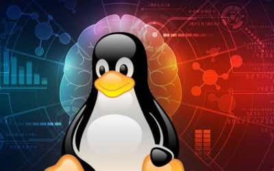 7 prime Linux Application and Software