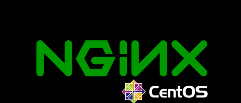 NGINX Server 