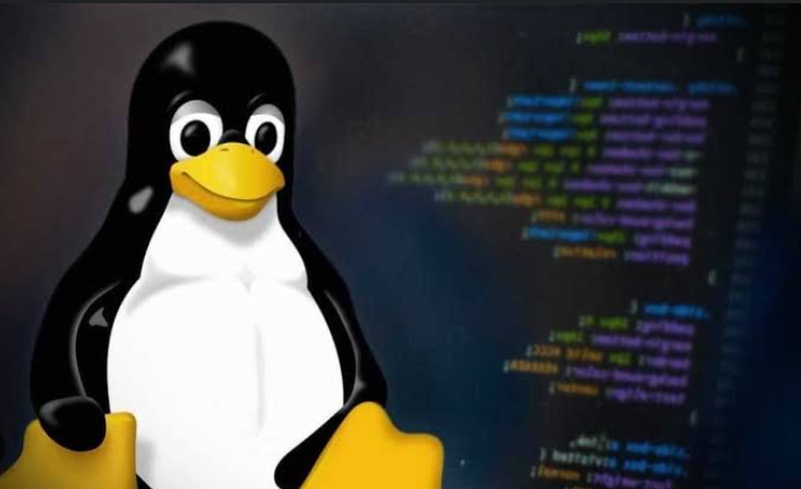  Disk space usage in Linux 