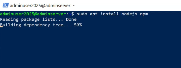 install nodejs npm