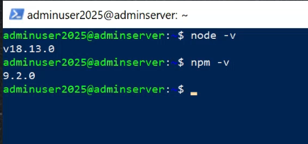 node and npm version check