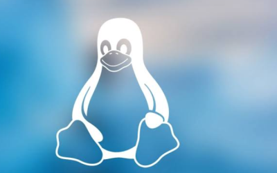Exploring the Distinctive Features within the Linux Community