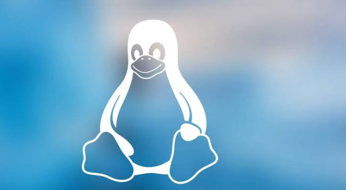 Exploring the Distinctive Features within the Linux Community