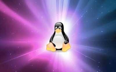 Resolving the “sudo: command not found” Error in Linux