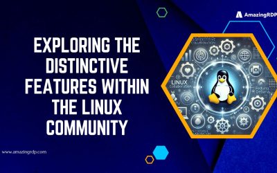 Exploring the Distinctive Features within the Linux Community