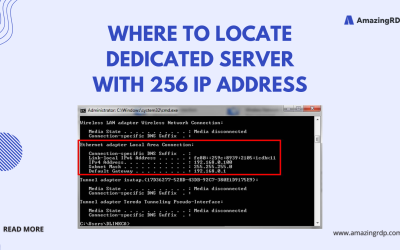 Where to Locate a Dedicated Server with 256 IP Addresses
