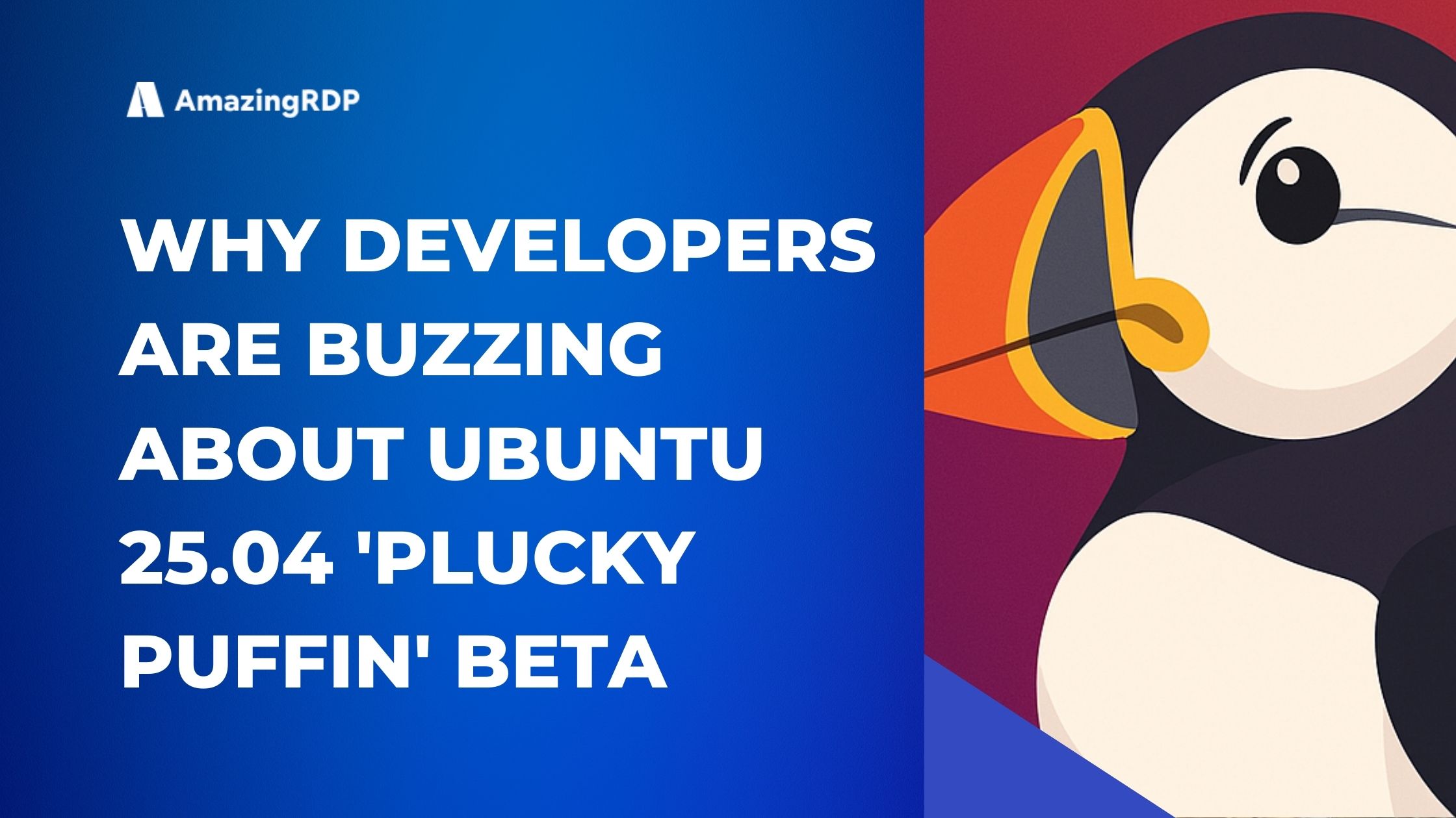Ubuntu 25.04